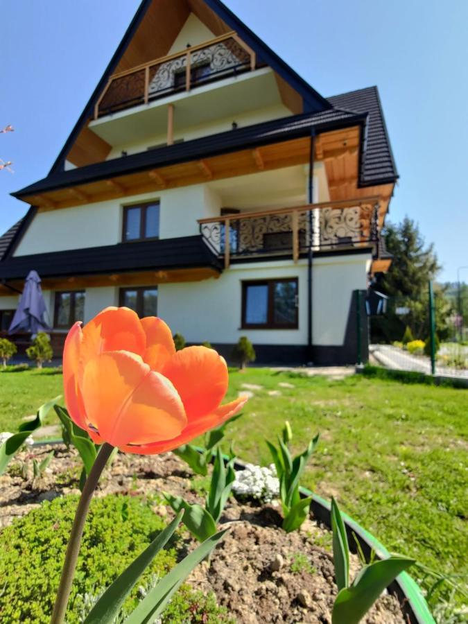 Appartement To Tu à Czarna Góra Extérieur photo